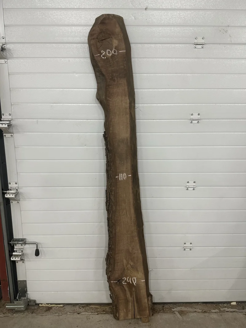 Слэб американского ореха