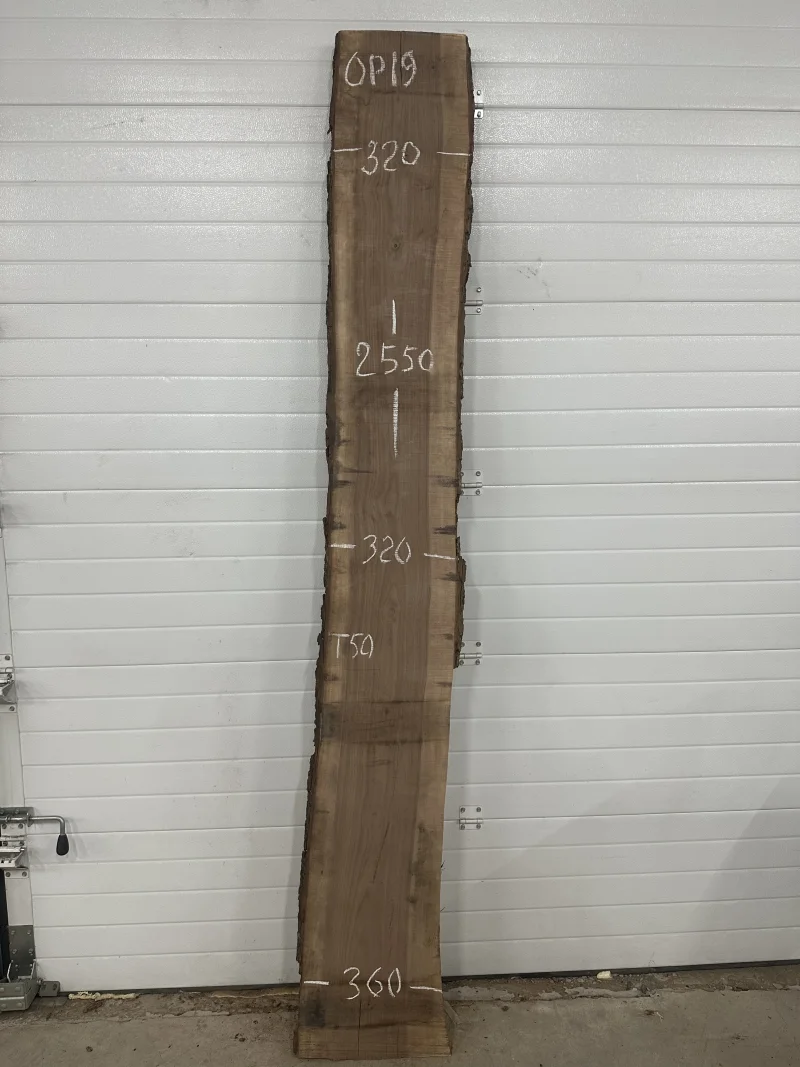 Слэб американского ореха