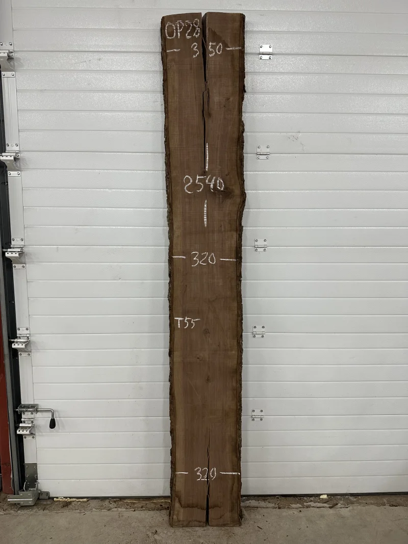 Слэб американского ореха