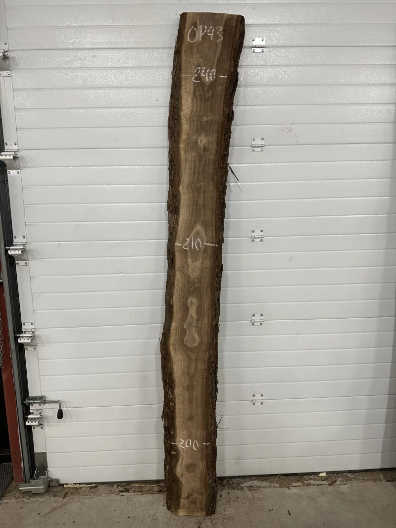 Слэб американского ореха