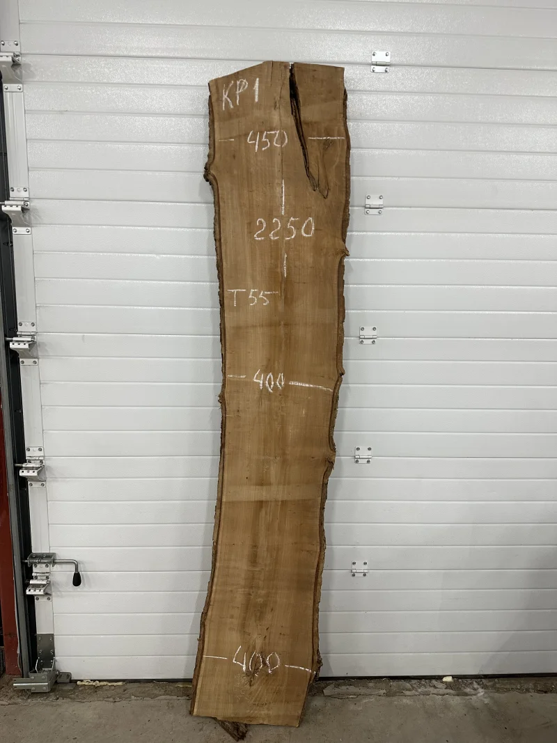 Слэб карагач 