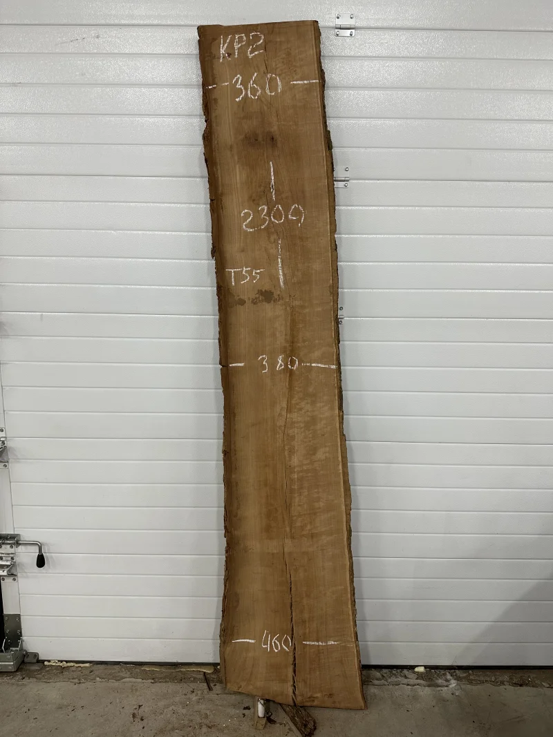 Слэб карагач