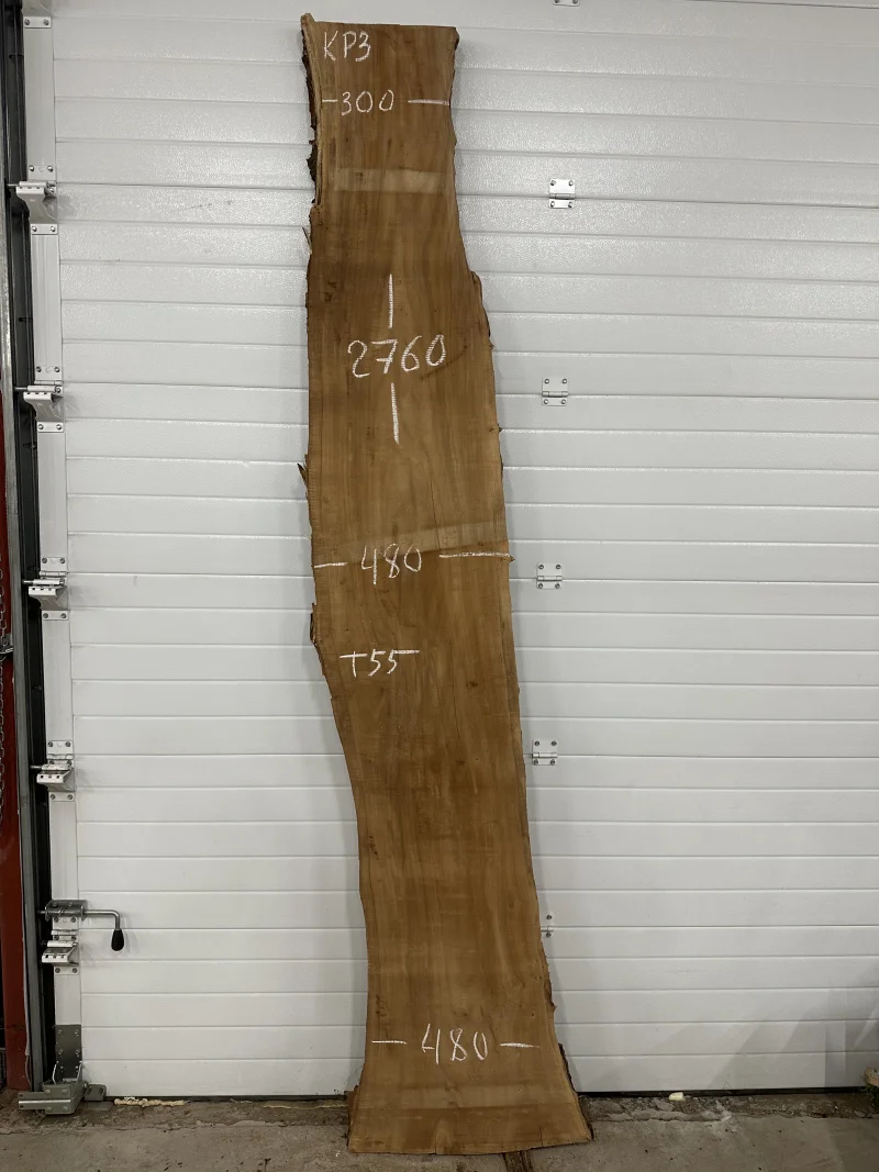 Слэб карагач