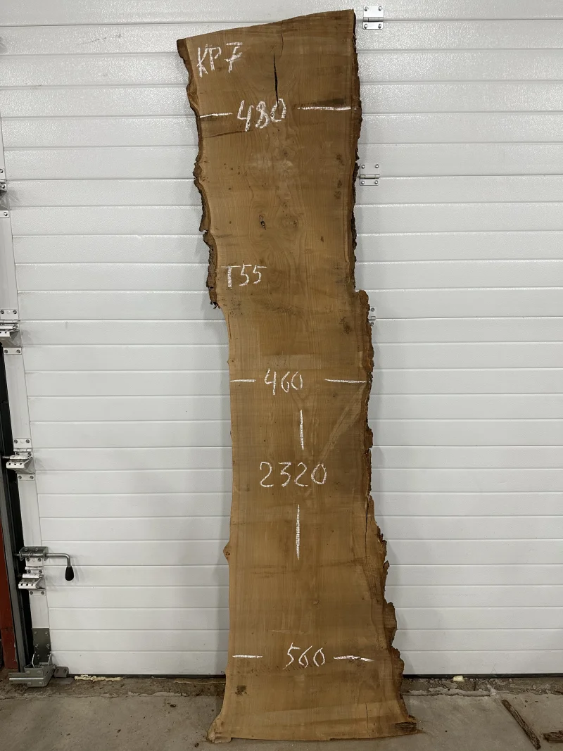 Слэб карагач