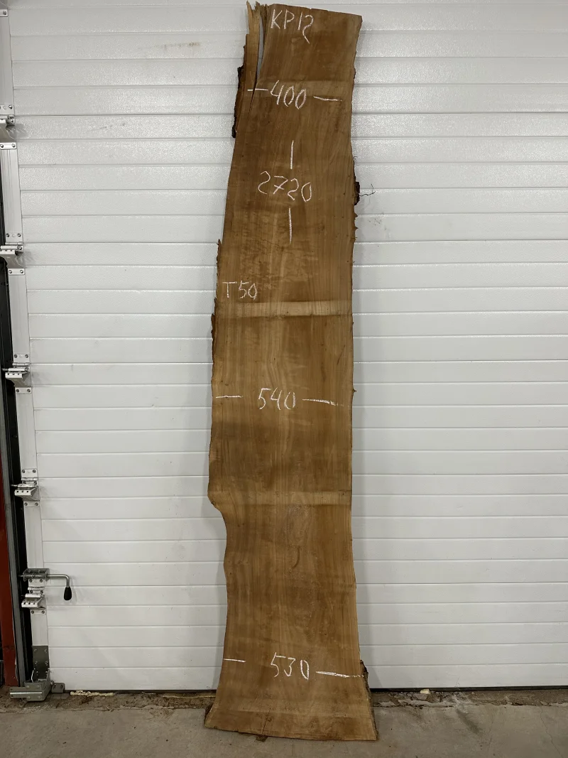 Слэб карагач