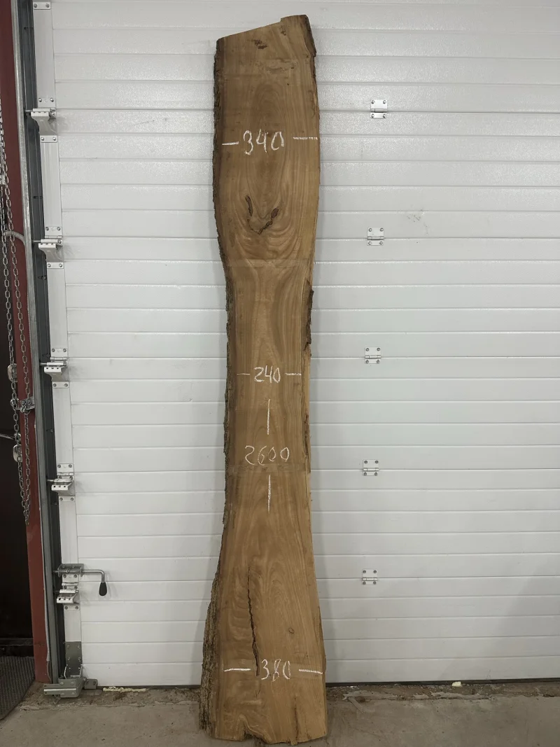 Слэб карагач