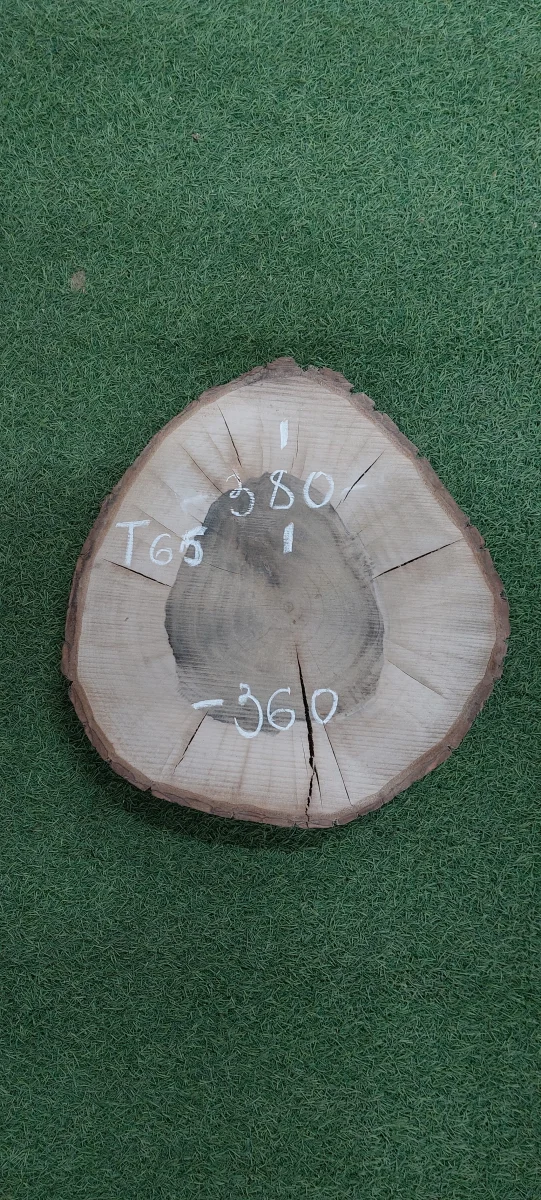  Спил грецкого ореха 