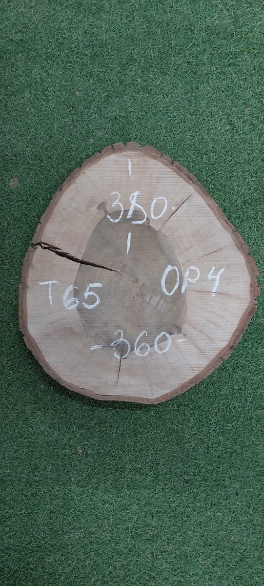 Спил грецкого ореха