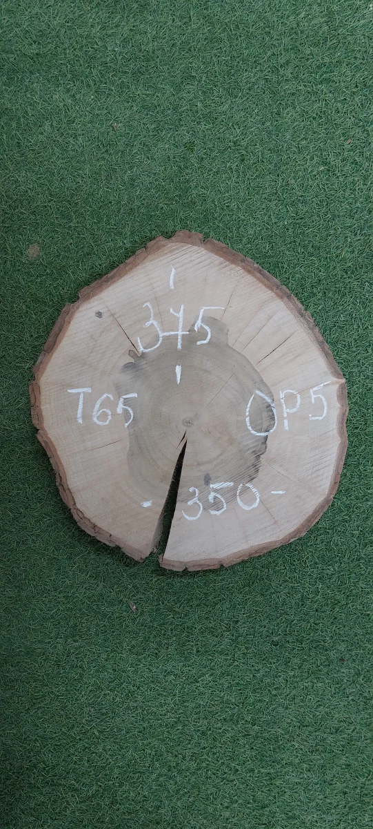 Спил грецкого ореха