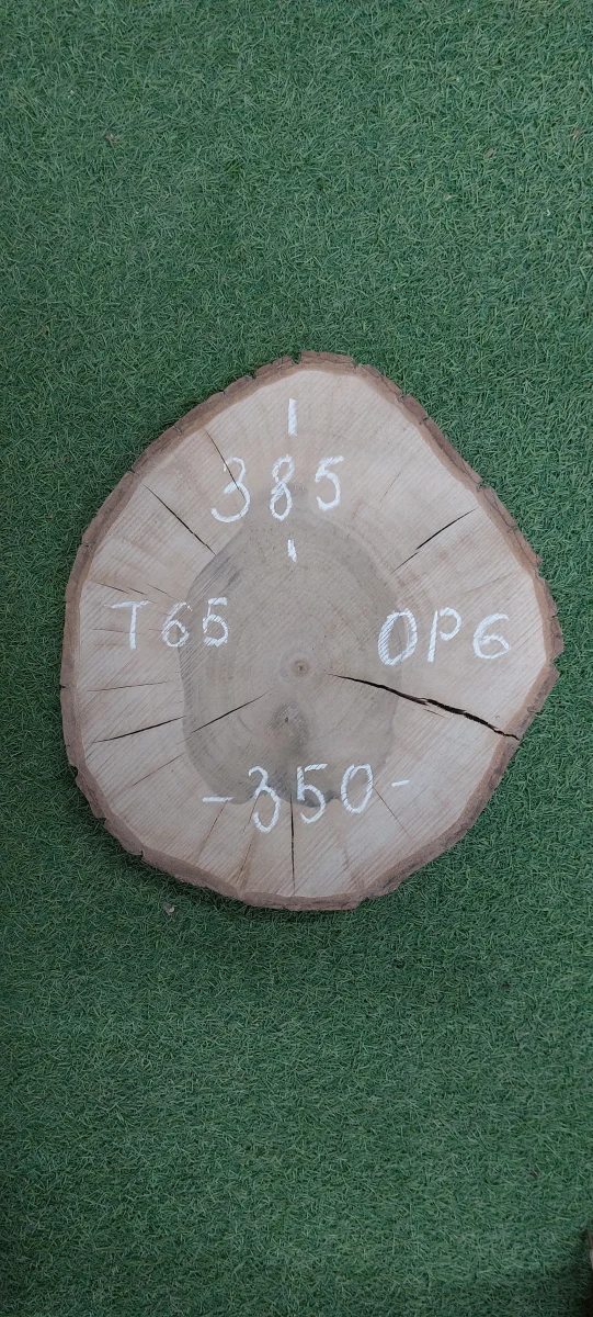 Спил грецкого ореха