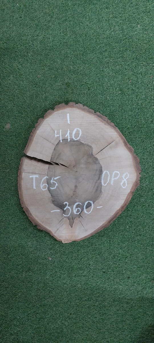 Спил грецкого ореха