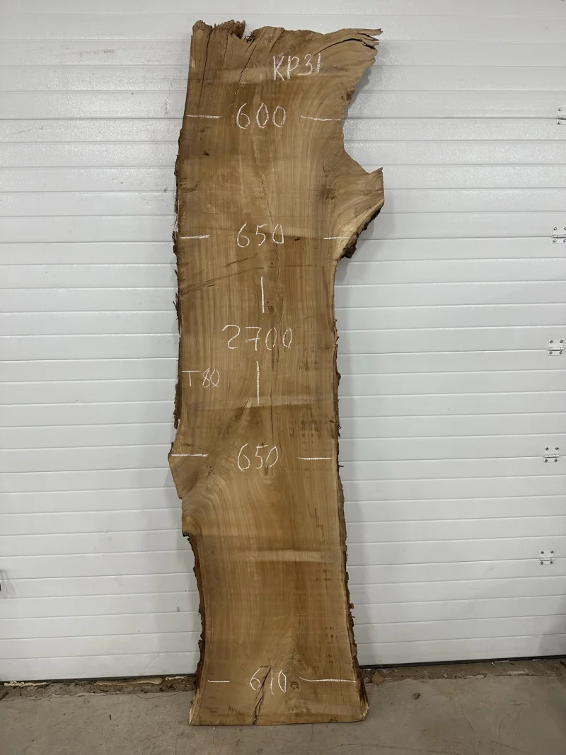 Слэб карагач