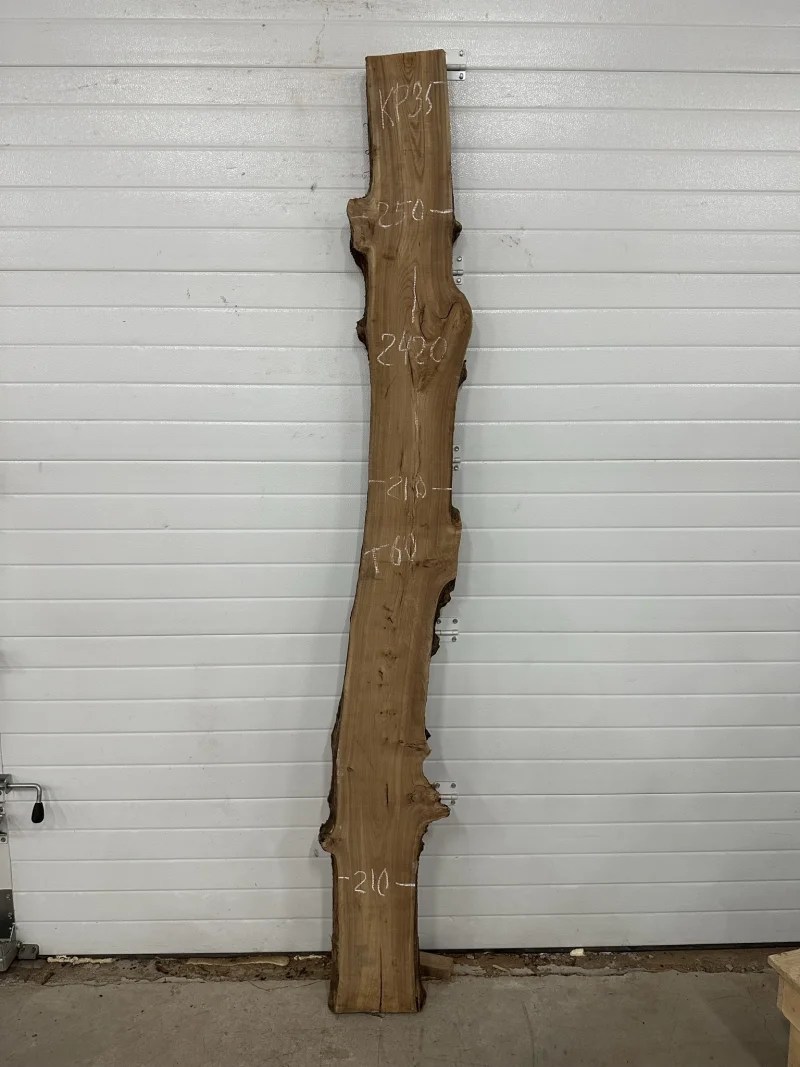 Слэб карагач