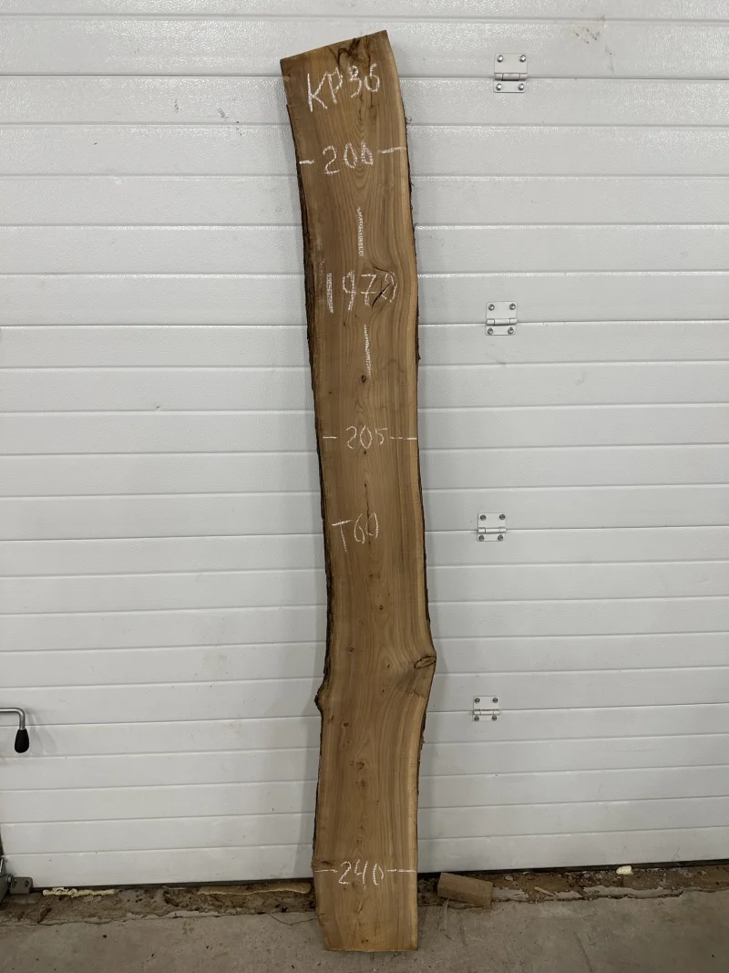 Слэб карагач