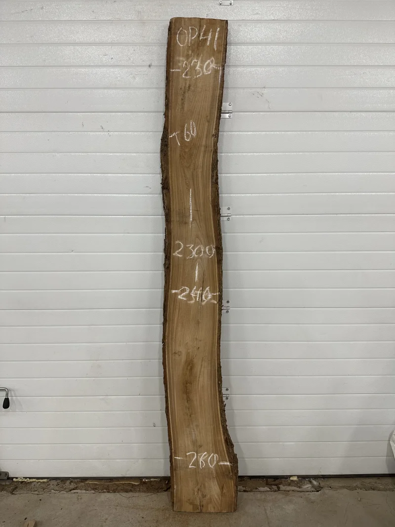 Слэб карагач