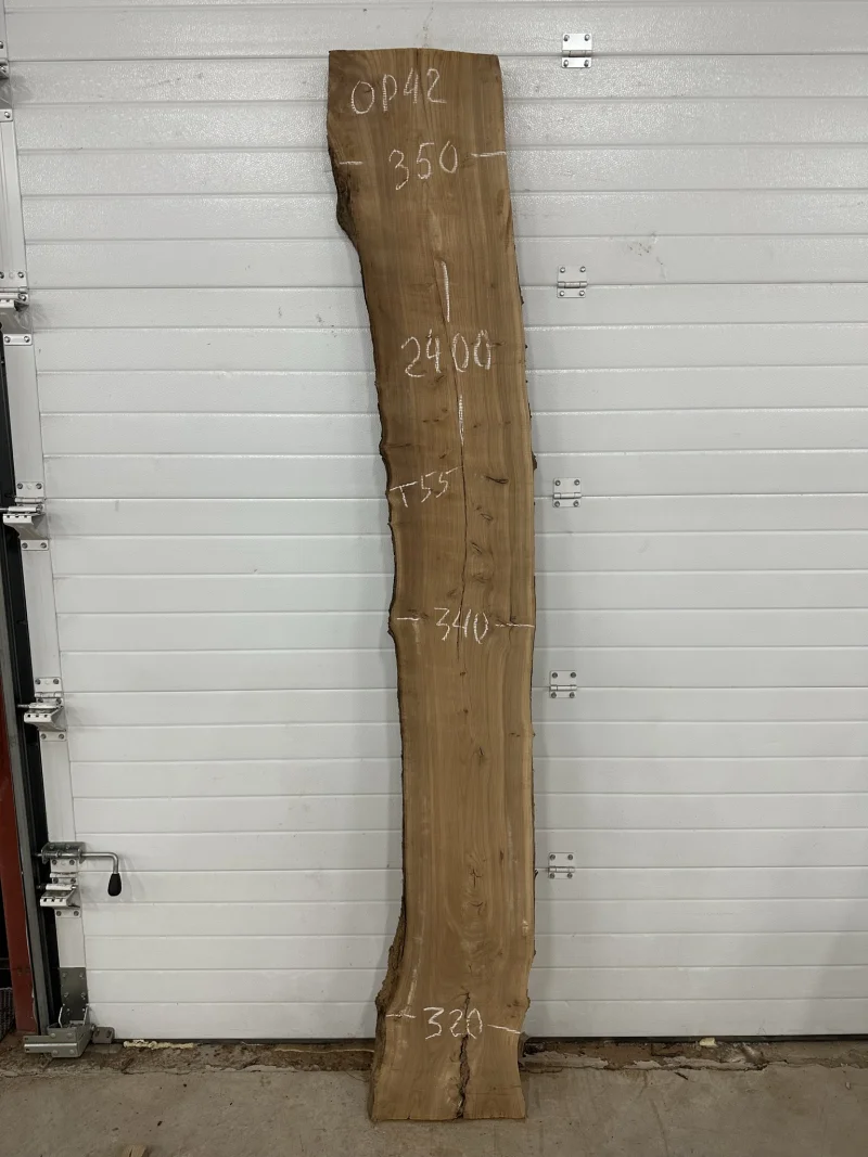 Слэб карагач