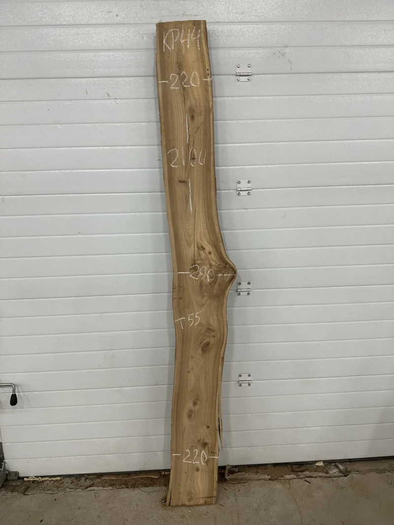 Слэб карагач