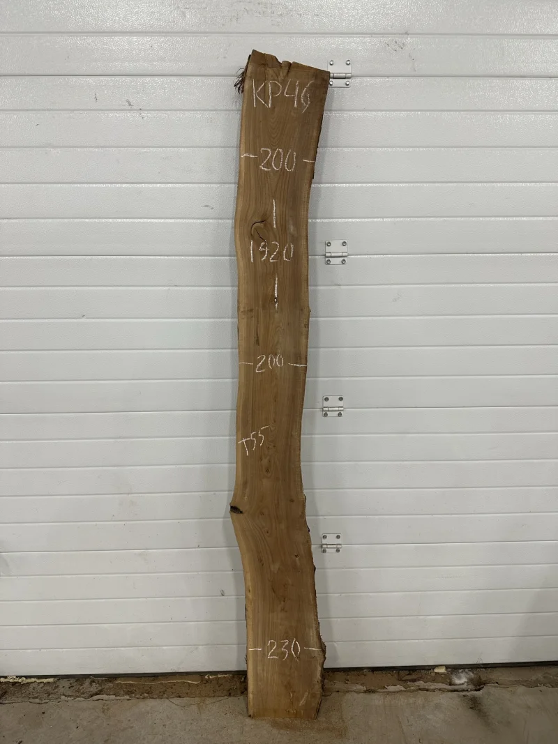 Слэб карагач