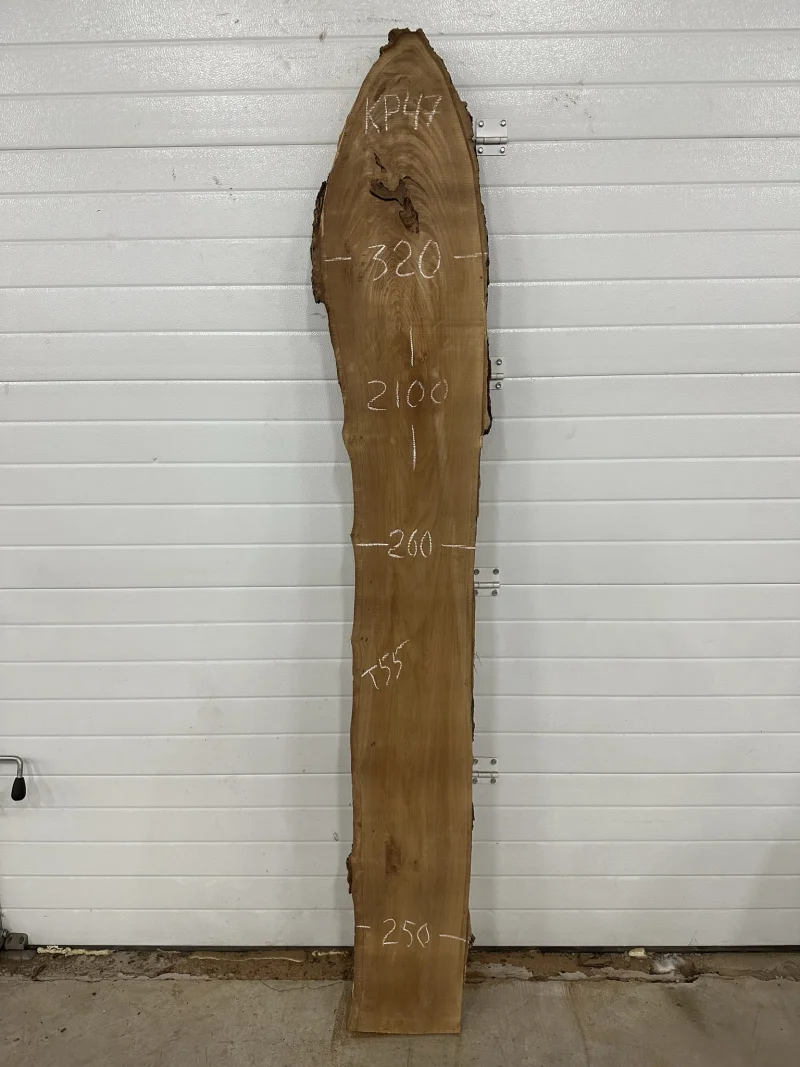 Слэб карагач