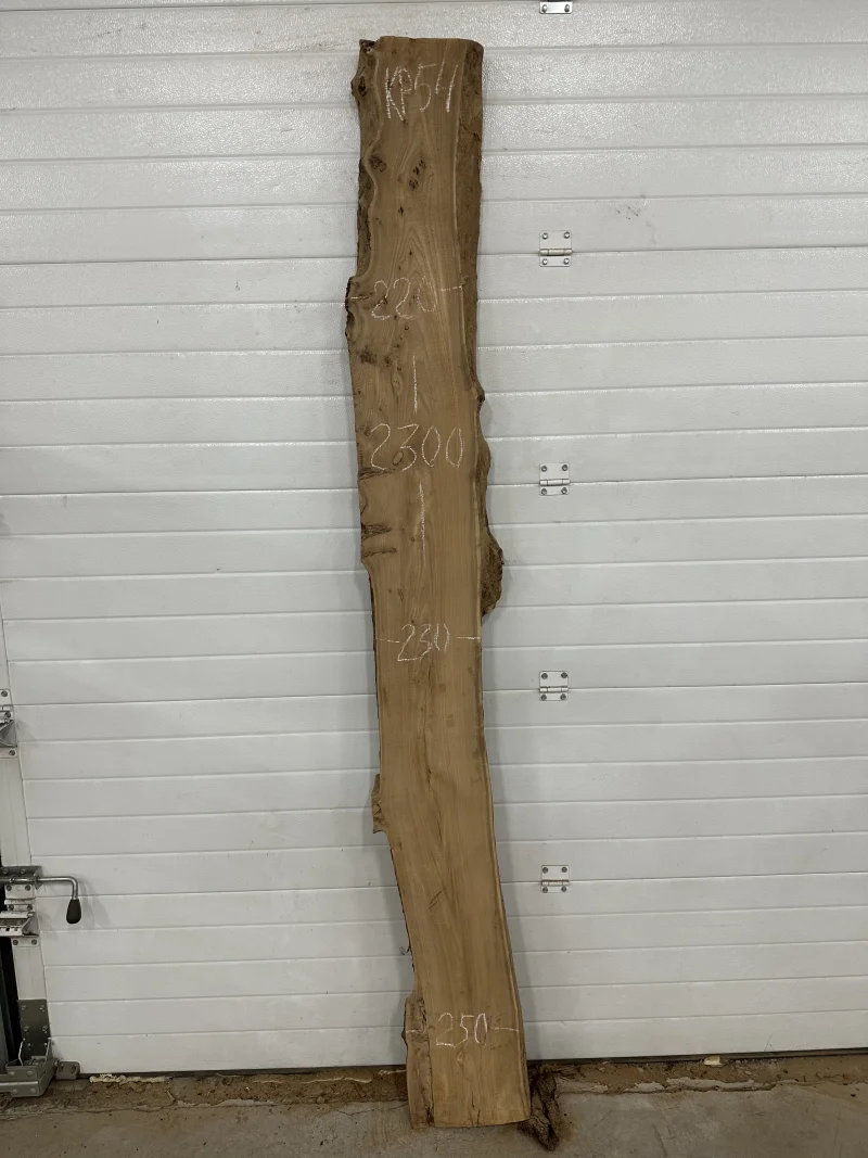 Слэб карагач