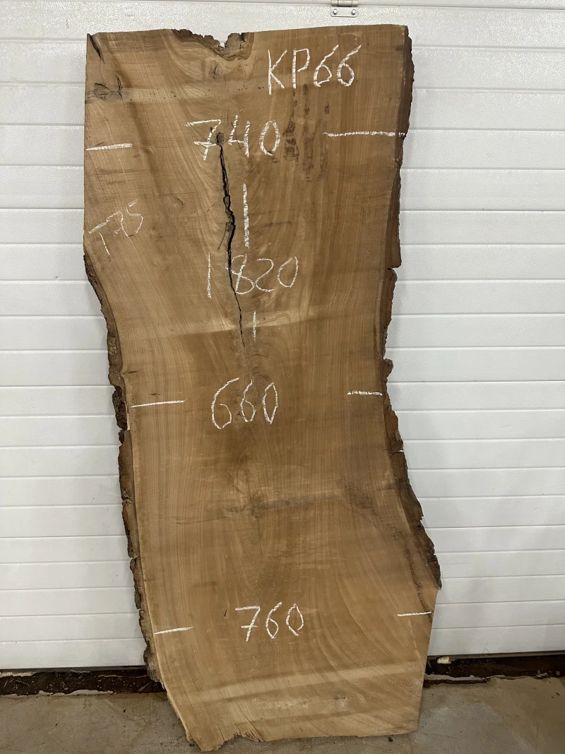 Слэб карагач