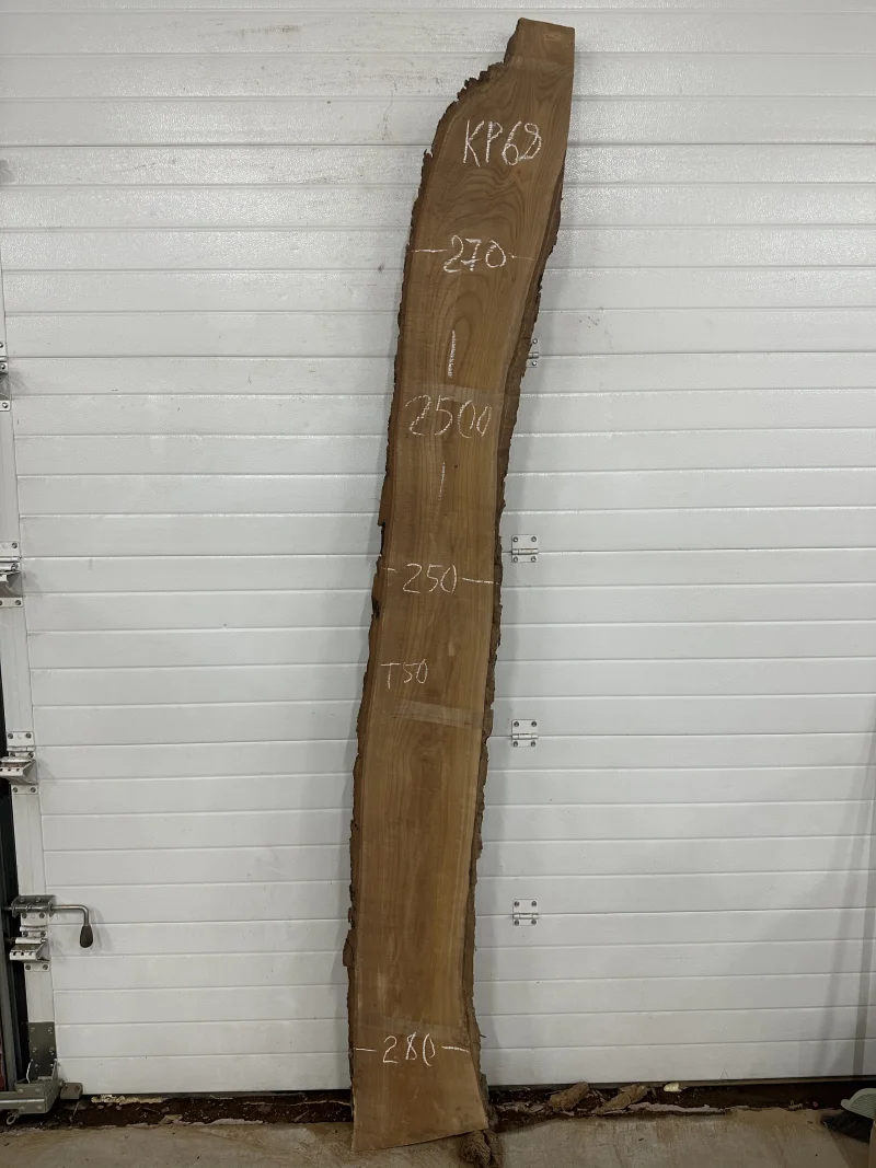 Слэб карагач