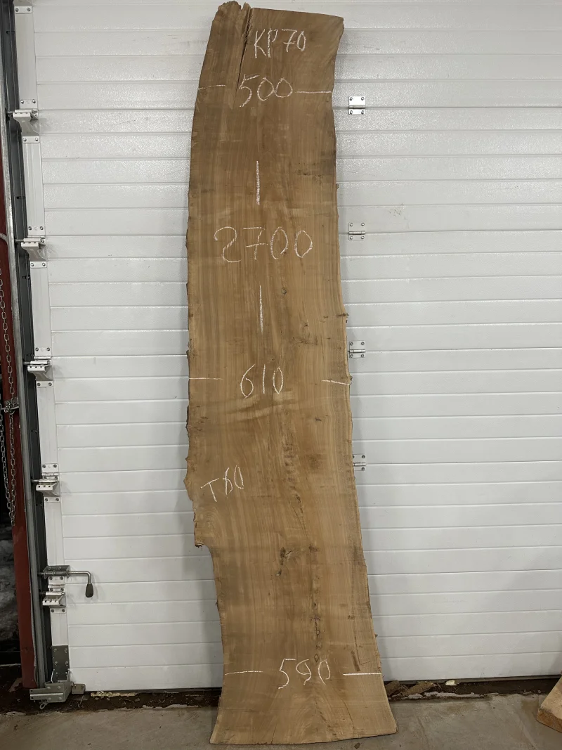 Слэб карагач