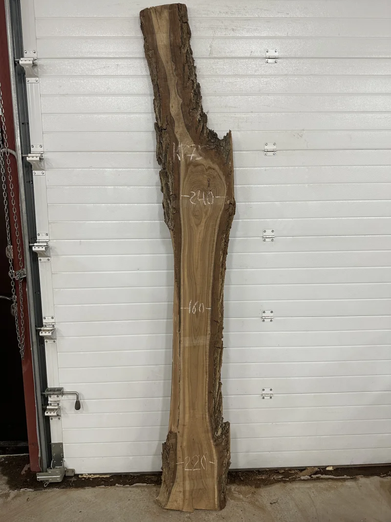 Слэб карагач