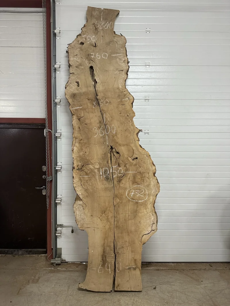 Слэб карагач