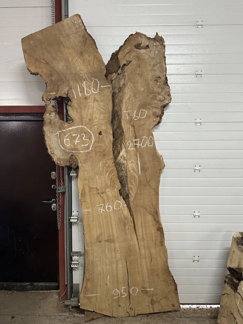 Слэб карагач