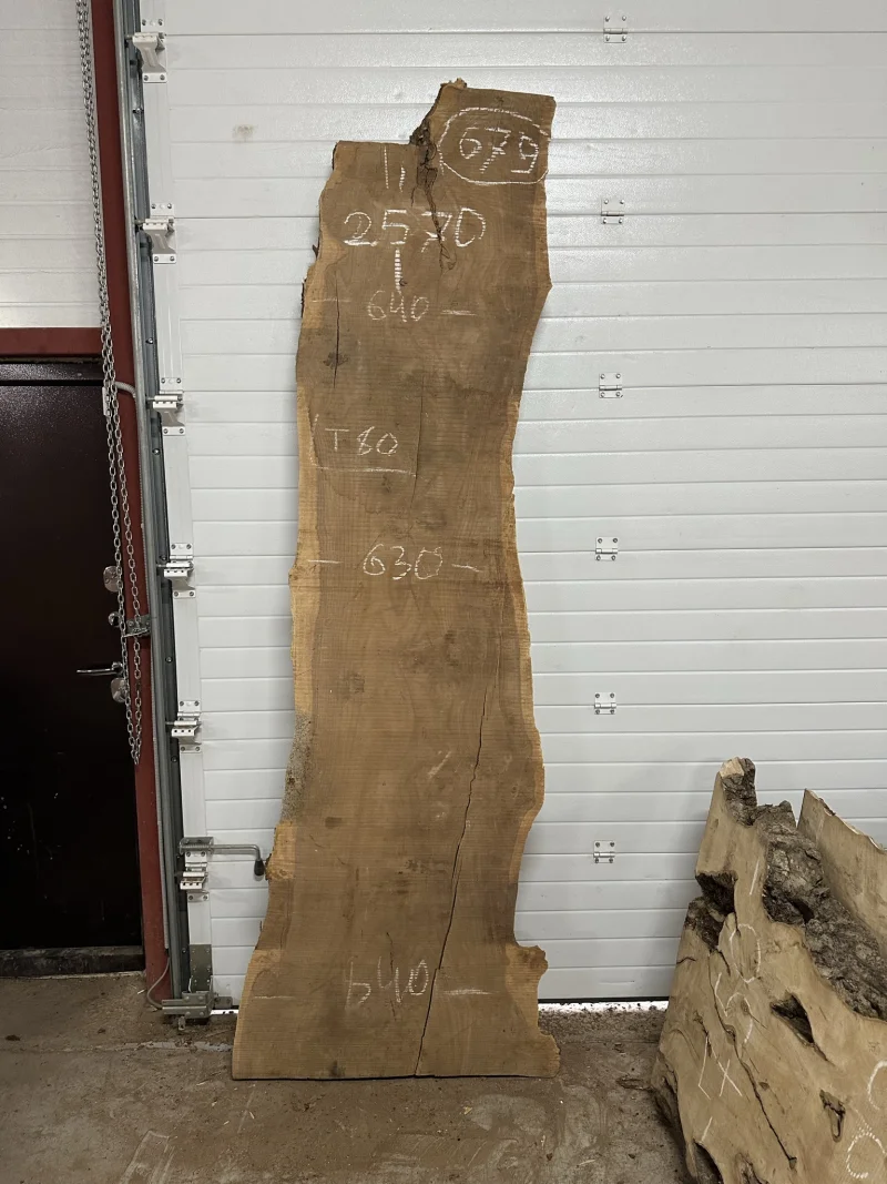 Слэб карагач