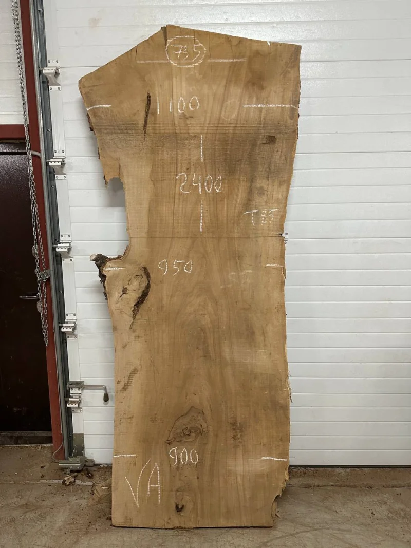 Слэб карагач