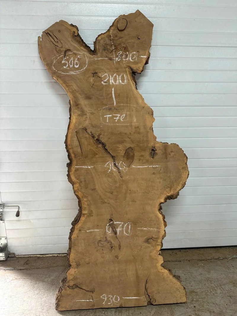 Слэб карагач