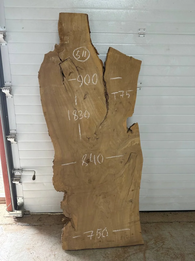 Слэб карагач