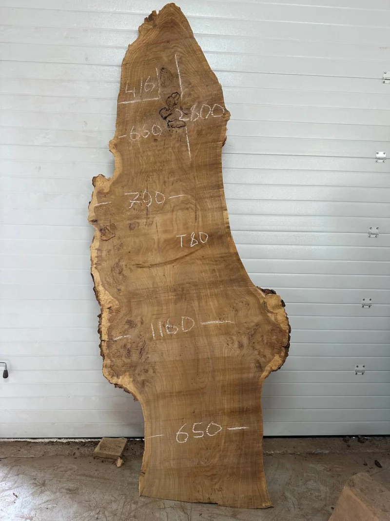 Слэб карагач