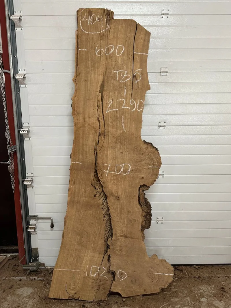 Слэб карагач