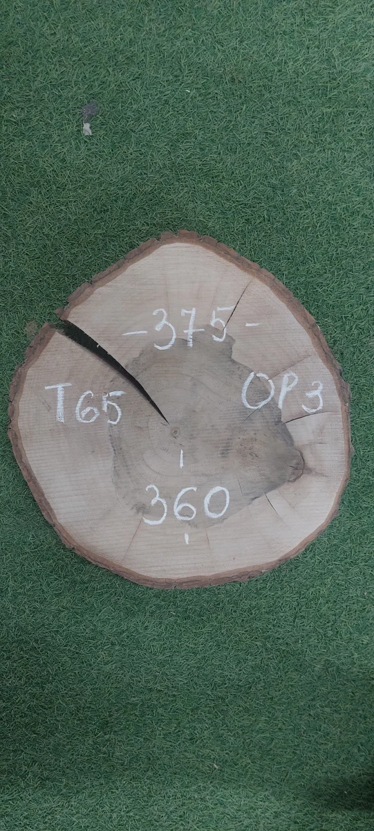 Спил грецкого ореха