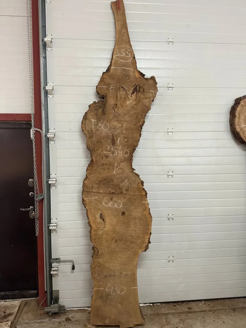 Слэб карагач