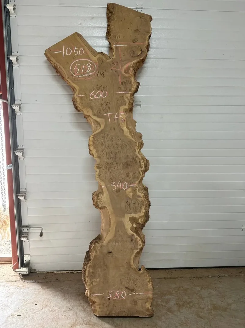 Слэб карагач