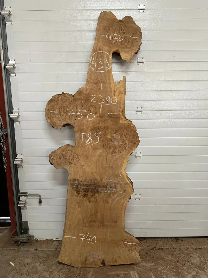 Слэб карагач