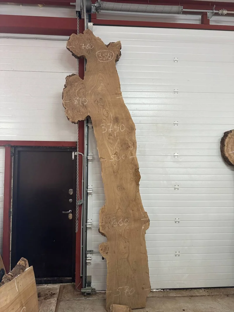 Слэб карагач