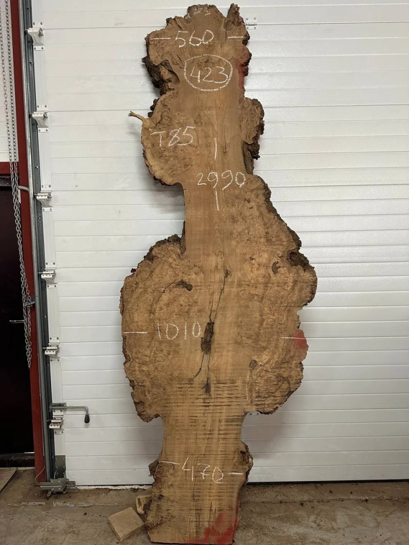 Слэб карагач