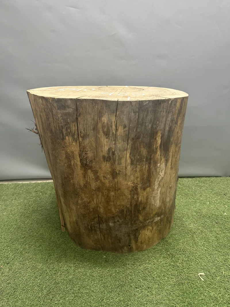 Пень карагач 