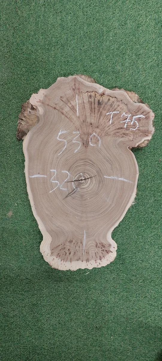 Спил карагача