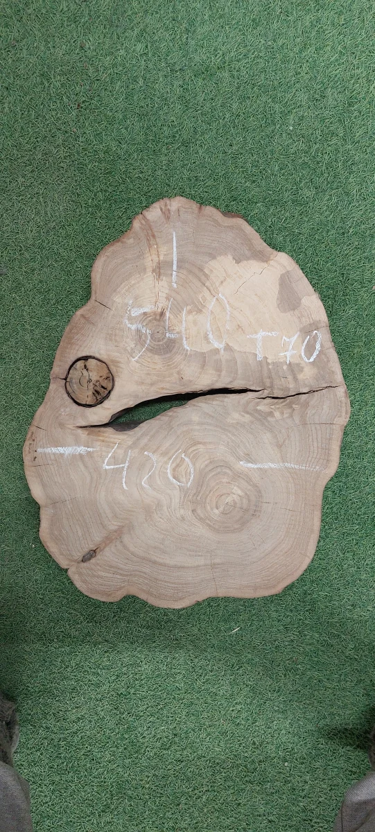 Спил карагача