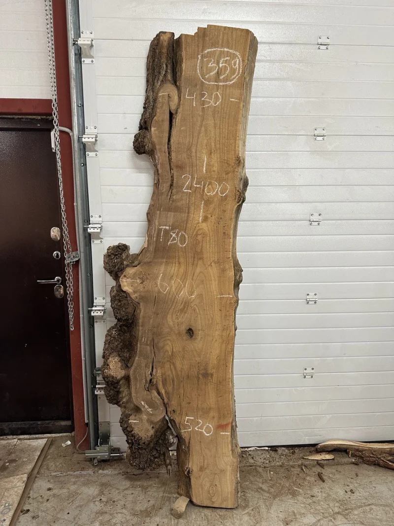 Спил карагача