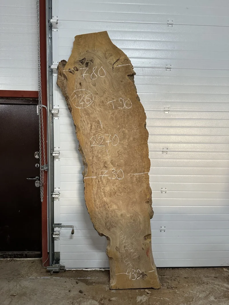 Спил карагача