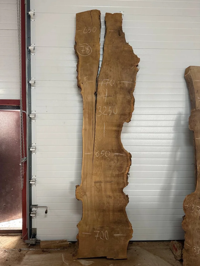 Слэб карагач