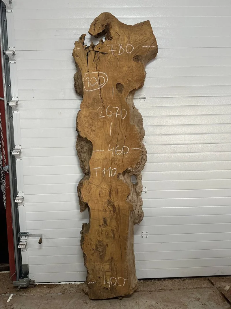 Слэб карагач