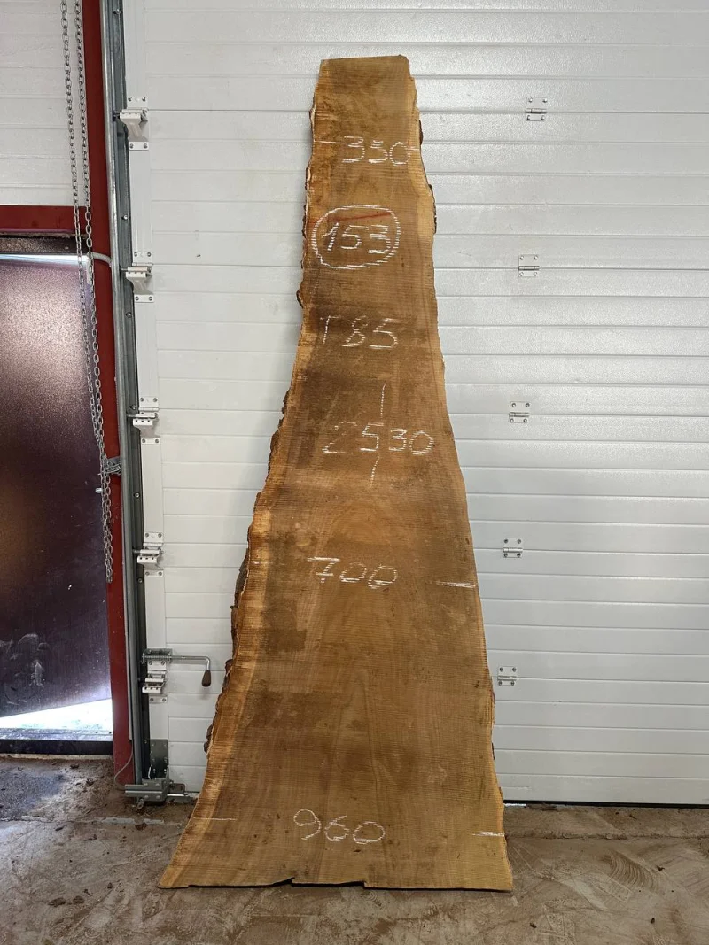 Слэб карагач